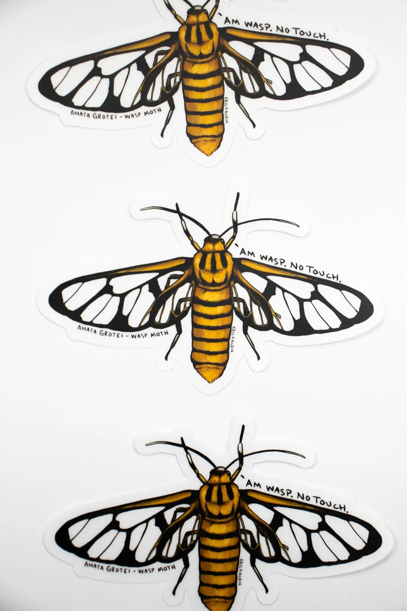 Wasp Moth Translucent Sticker - Stemcell Science Shop