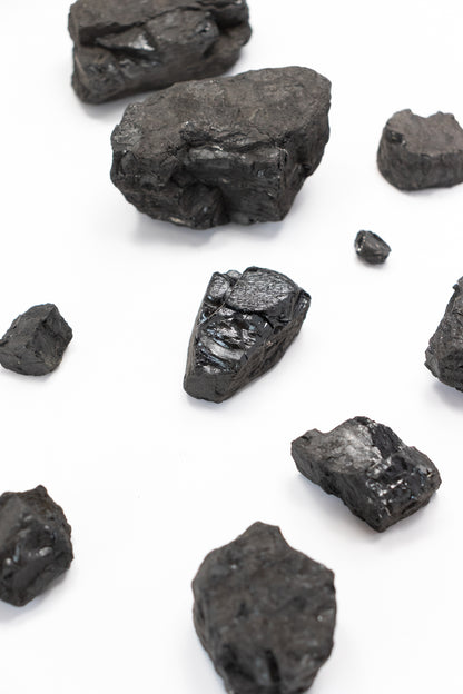 Anthracite - Stemcell Science Shop