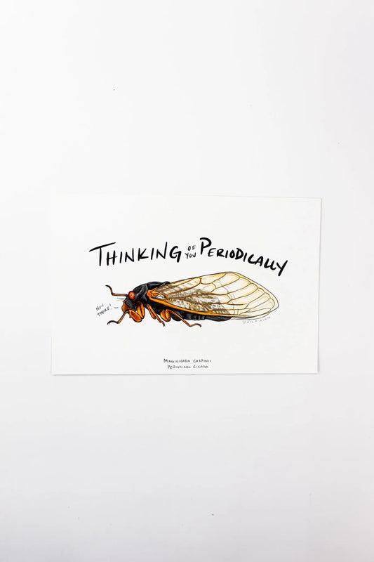 Periodical Cicada Postcard - Stemcell Science Shop