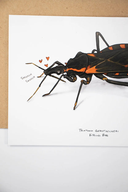 Kissing Bug Greetings Card - THE STEMCELL SCIENCE SHOP