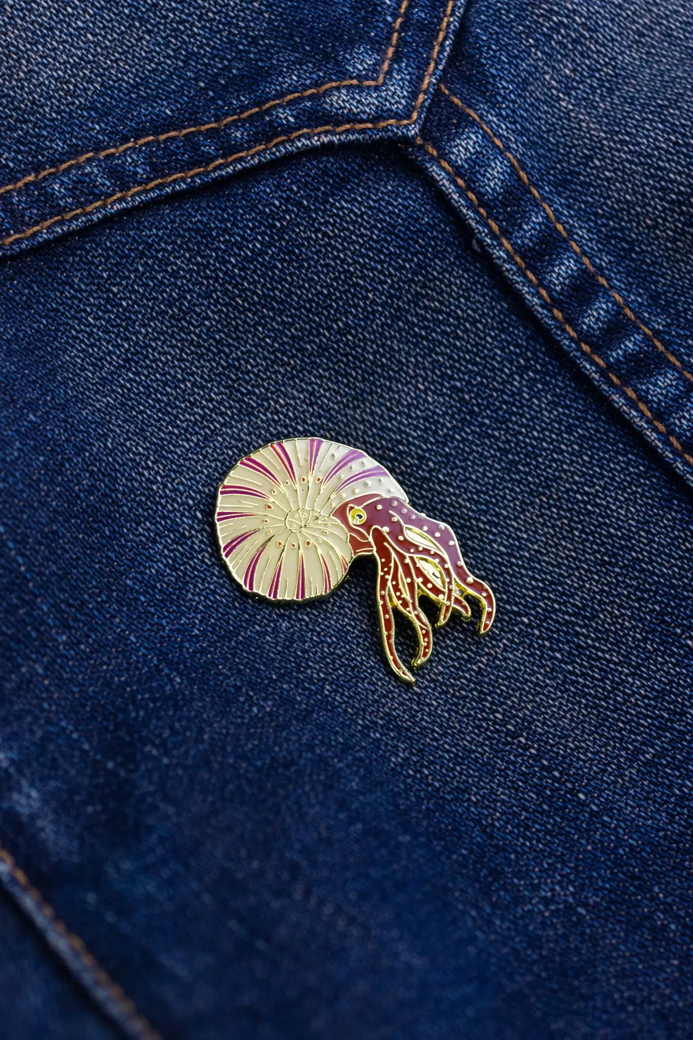 Ammonite Pin - Stemcell Science Shop