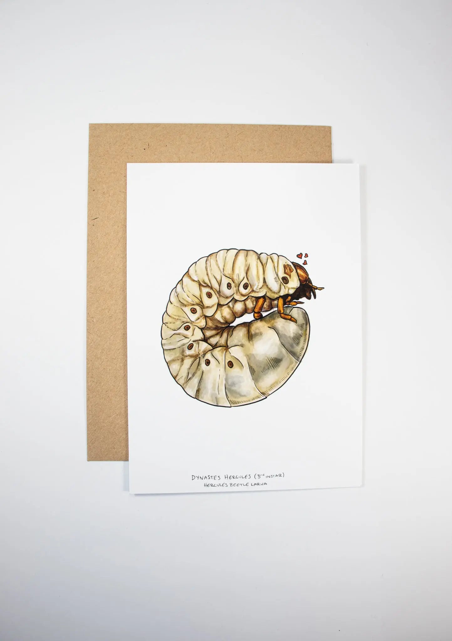 Hercules Beetle Larva Card