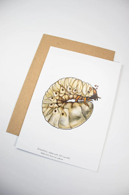 Hercules Beetle Larva Card
