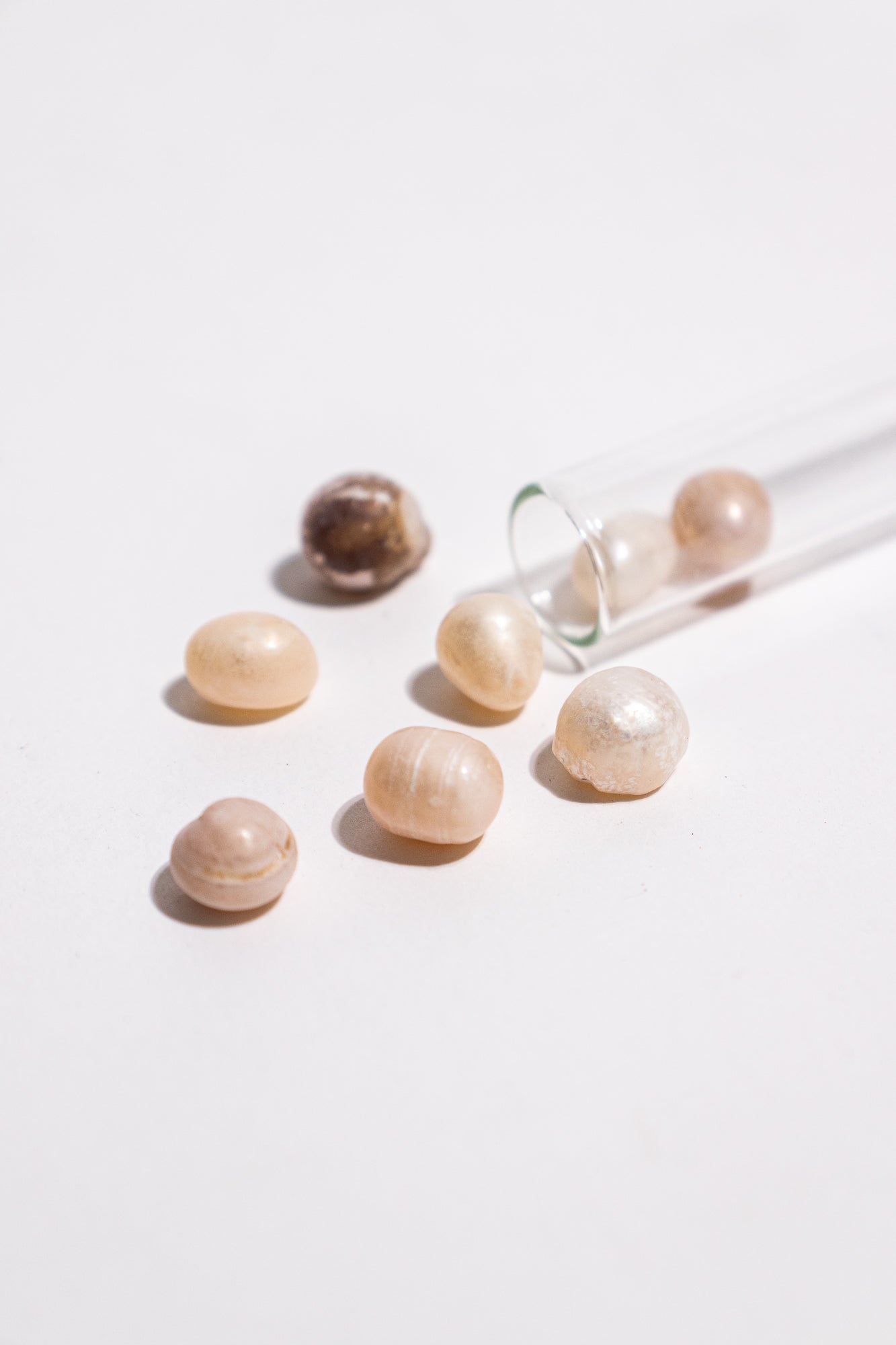 Pearls - Stemcell Science Shop