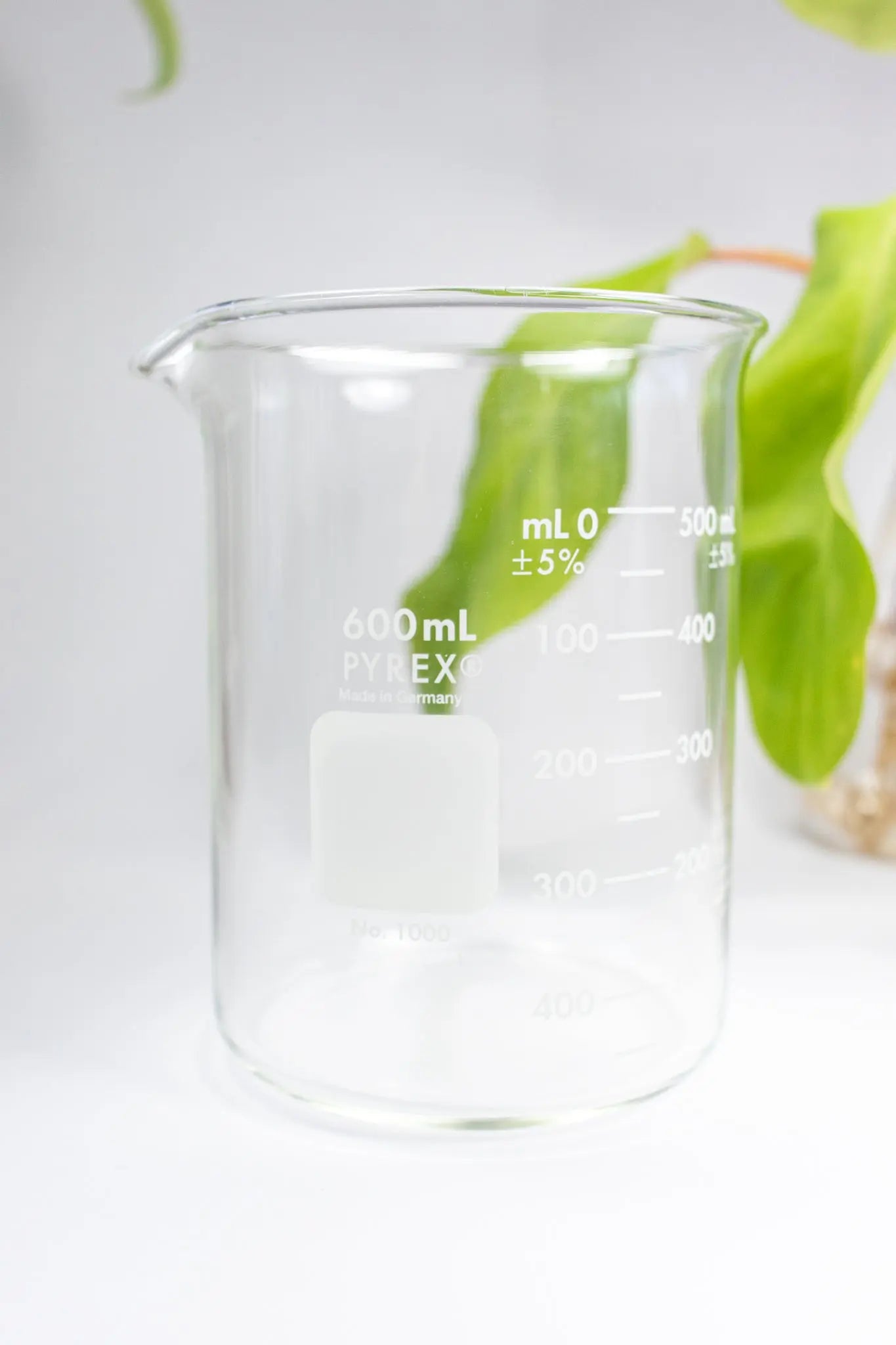 PYREX Glass Beaker - Stemcell Science Shop