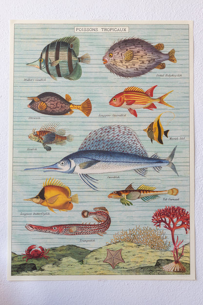 Tropical Fish Chart - Stemcell Science Shop