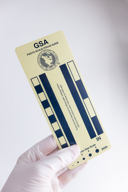 GSA Geologic Time Scale Card - Stemcell Science Shop