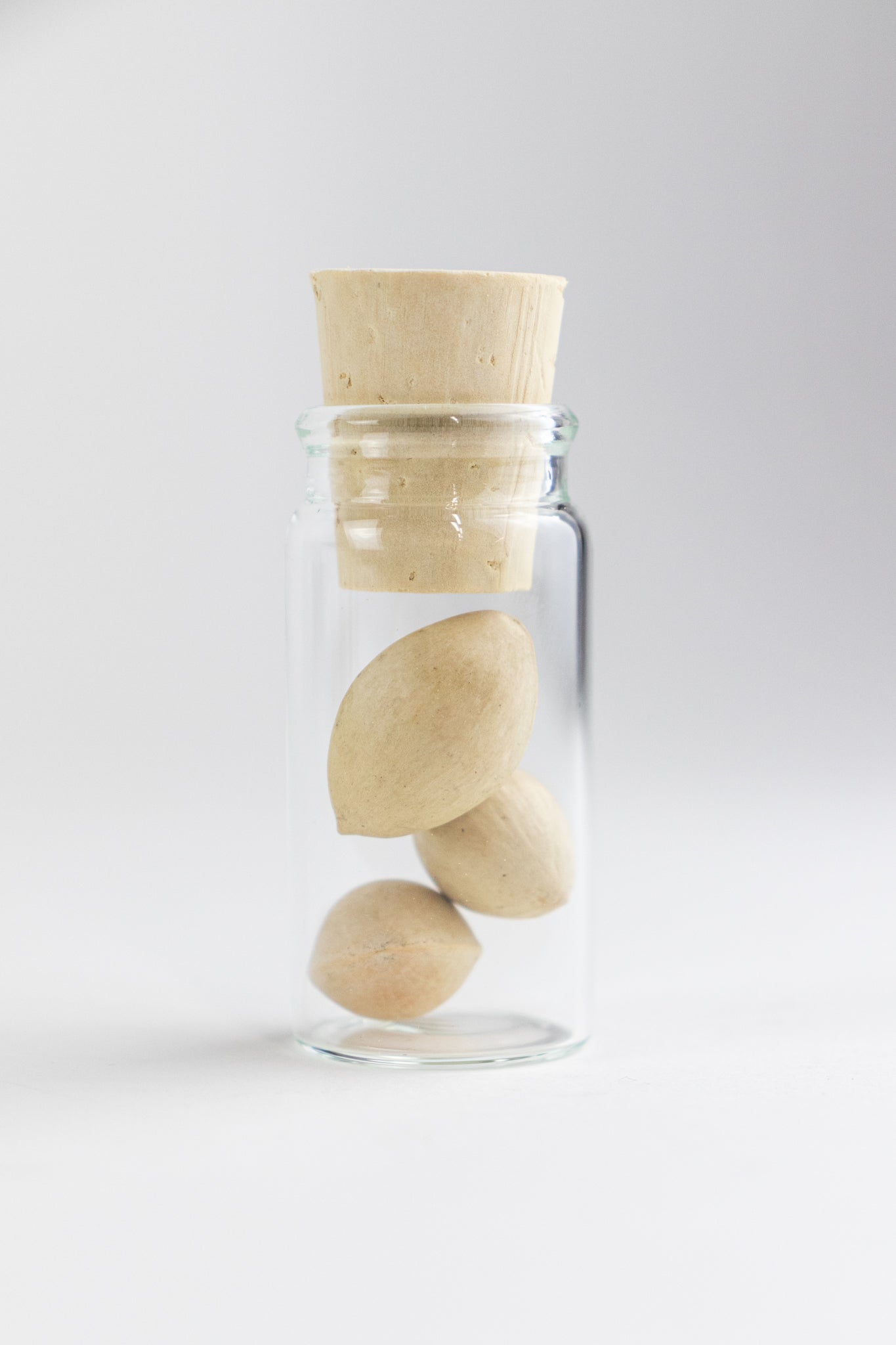 Ginkgo Biloba Seeds - Stemcell Science Shop