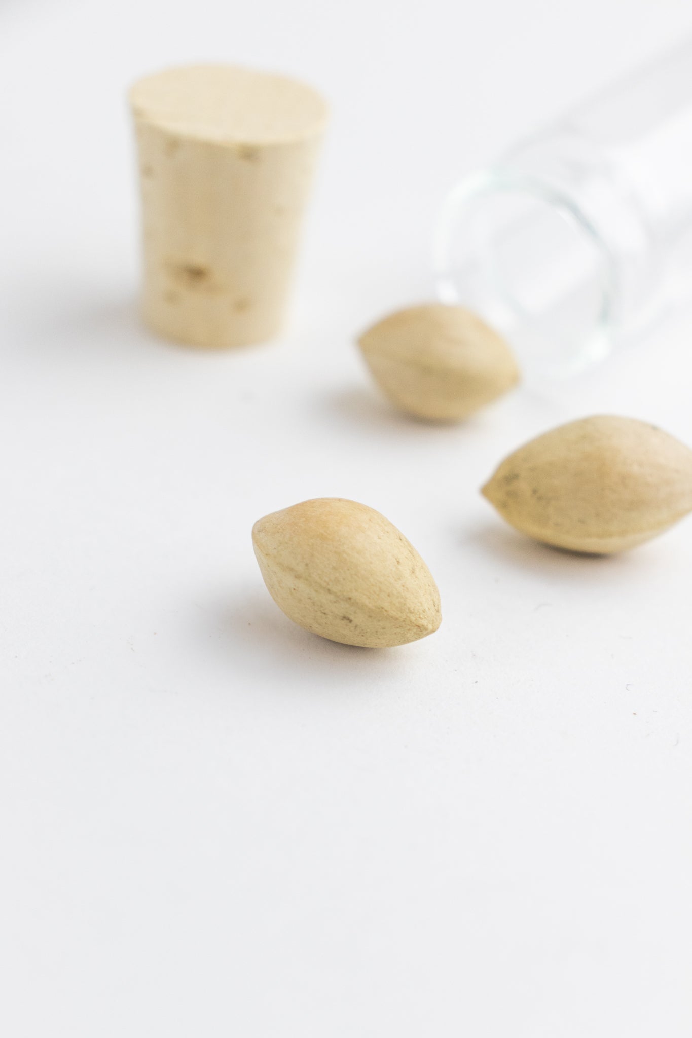 Ginkgo Biloba Seeds - Stemcell Science Shop