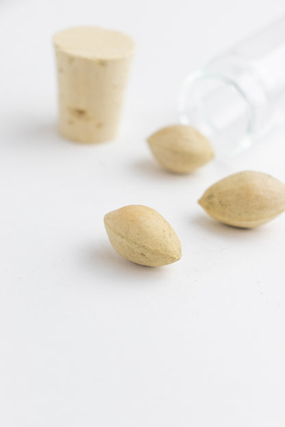 Ginkgo Biloba Seeds - Stemcell Science Shop