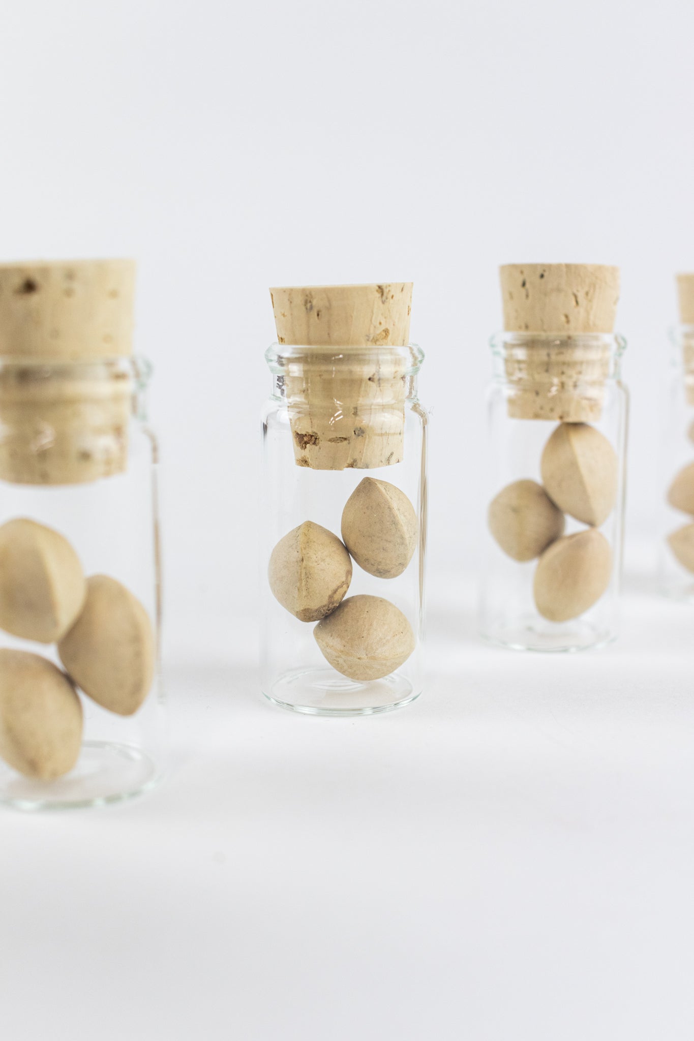 Ginkgo Biloba Seeds - Stemcell Science Shop