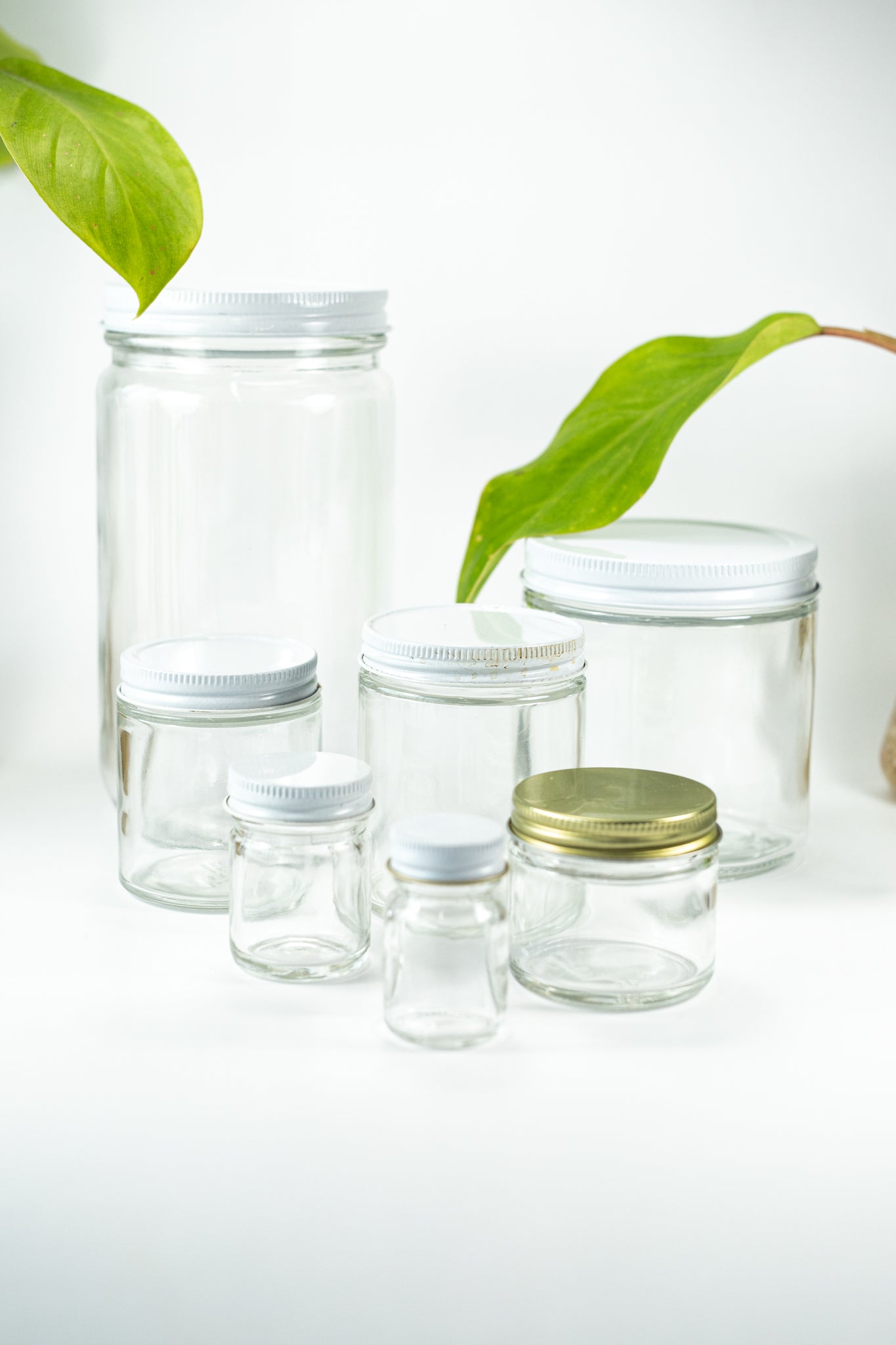 Specimen Jars with Lids - Stemcell Science Shop