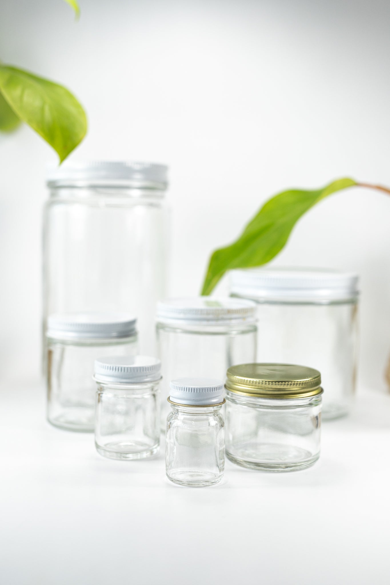 Specimen Jars with Lids - Stemcell Science Shop