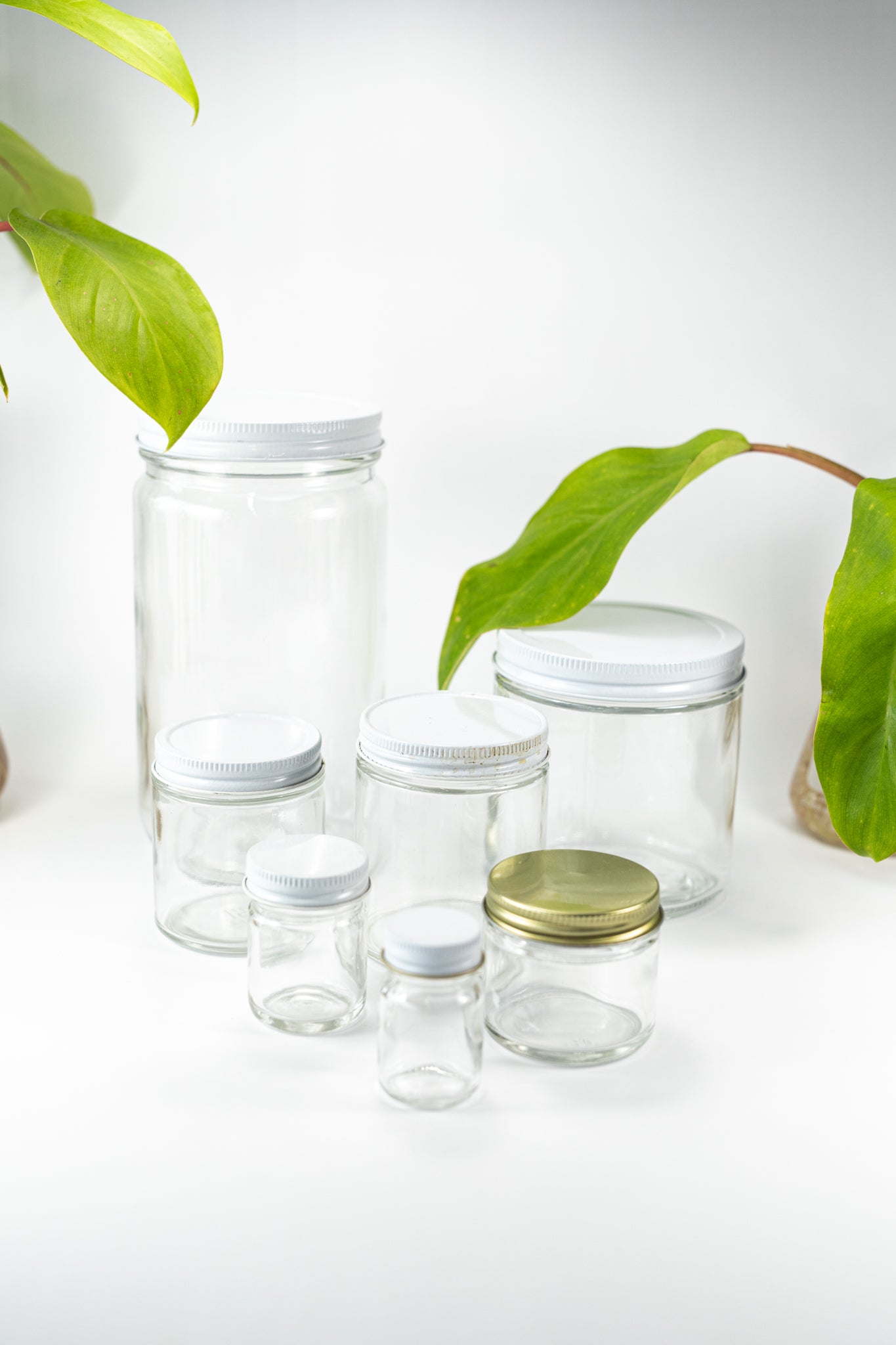 Specimen Jars with Lids - Stemcell Science Shop