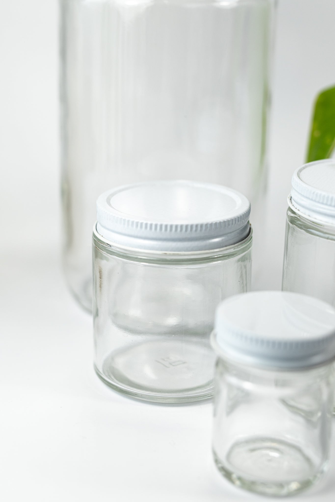 Specimen Jars with Lids - Stemcell Science Shop