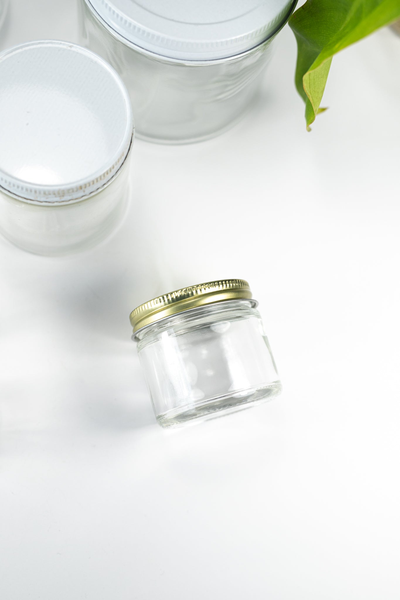 Specimen Jars with Lids - Stemcell Science Shop