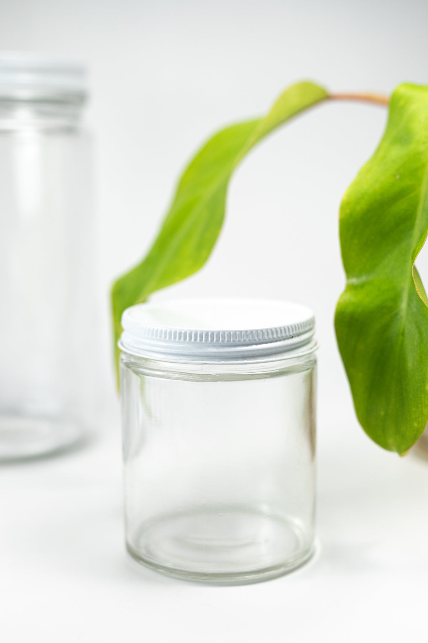 Specimen Jars with Lids - Stemcell Science Shop