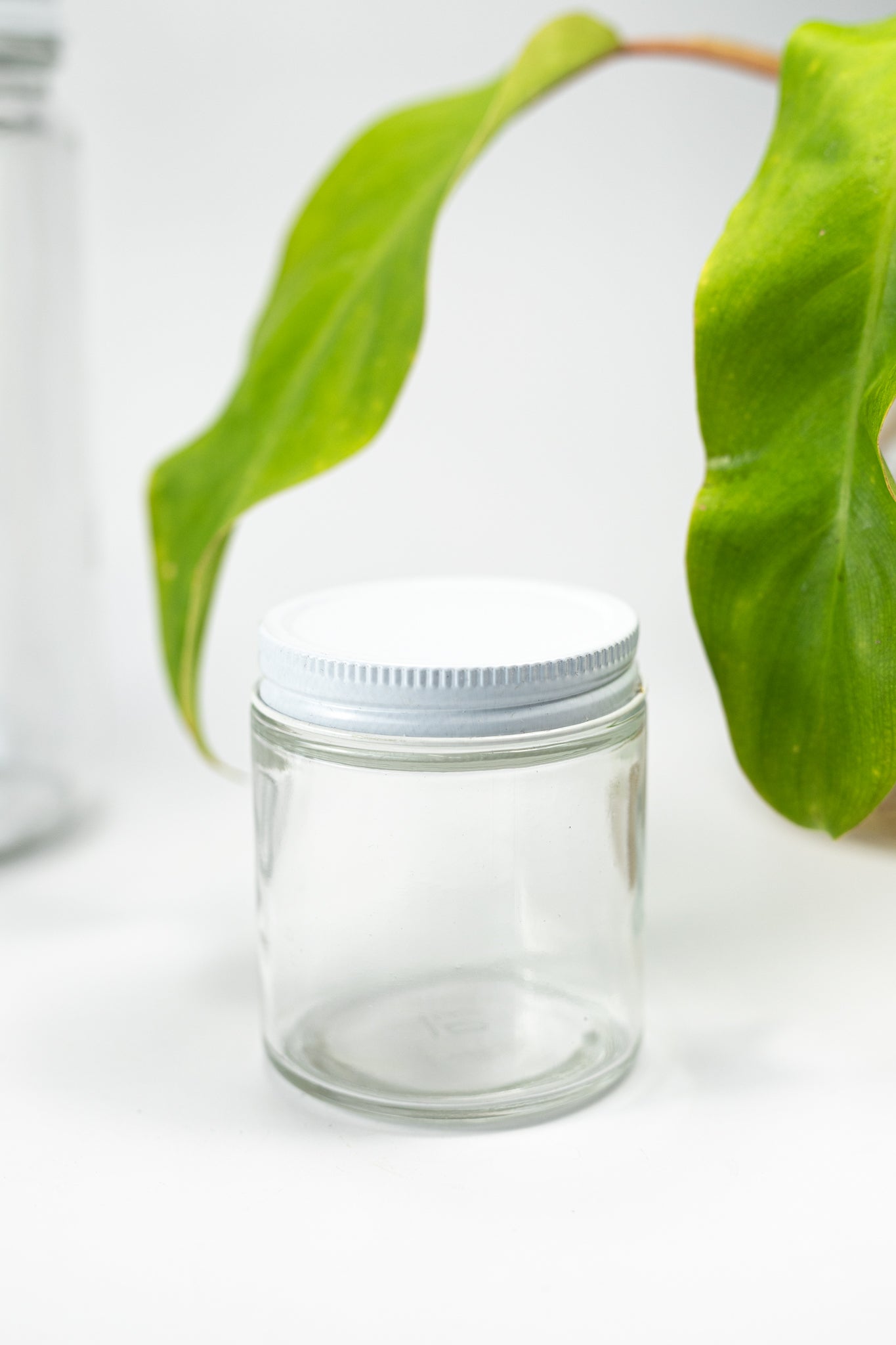 Specimen Jars with Lids - Stemcell Science Shop