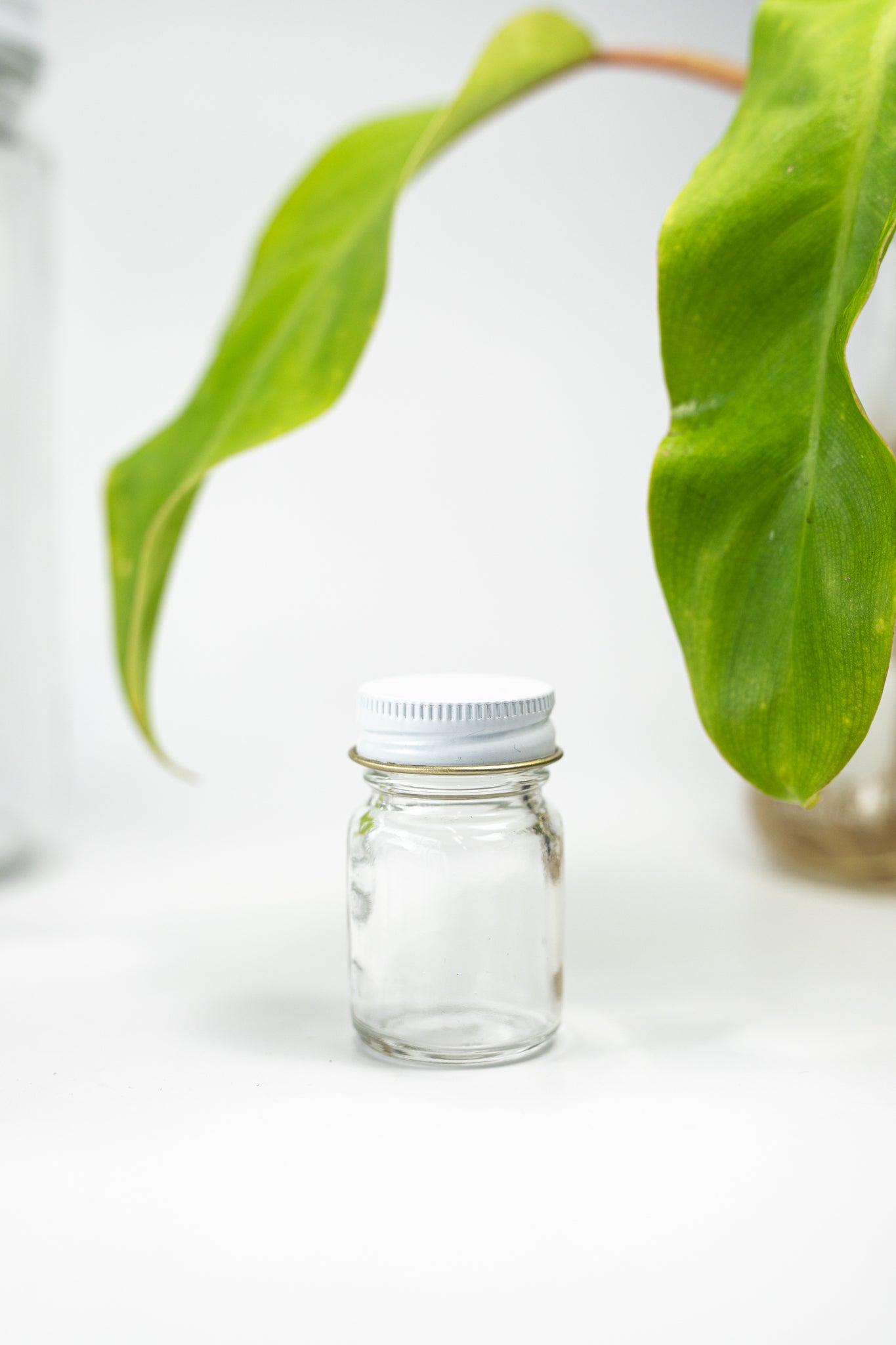 Specimen Jars with Lids - Stemcell Science Shop