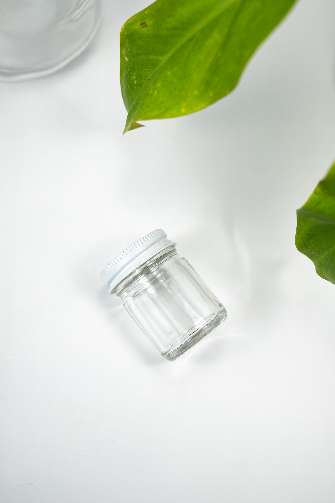 Specimen Jars with Lids - Stemcell Science Shop