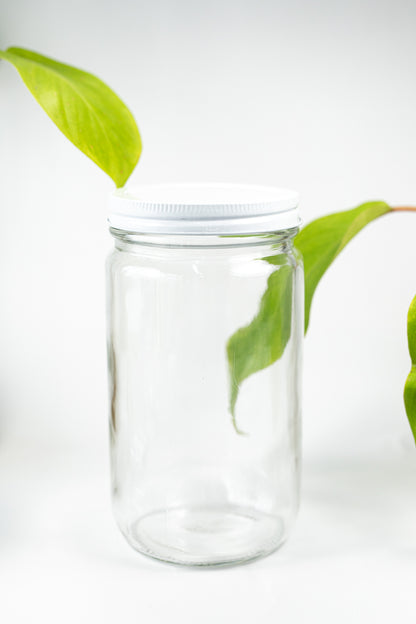 Specimen Jars with Lids - Stemcell Science Shop