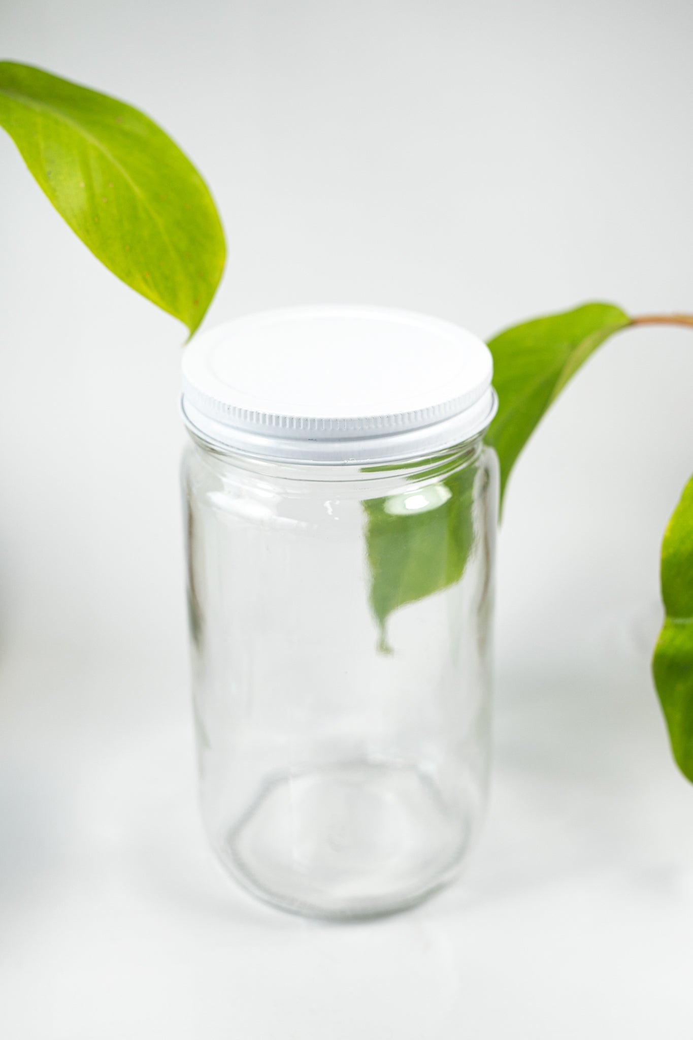 Specimen Jars with Lids - Stemcell Science Shop