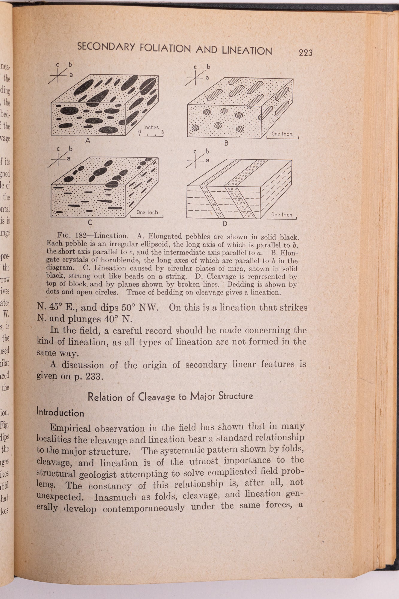 Structural Geology - Stemcell Science Shop