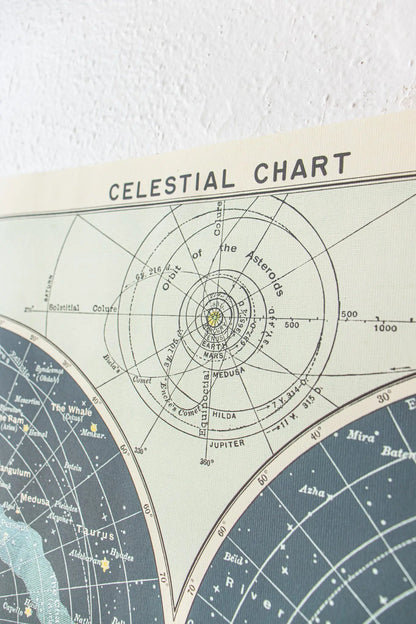 Celestial Chart - Stemcell Science Shop