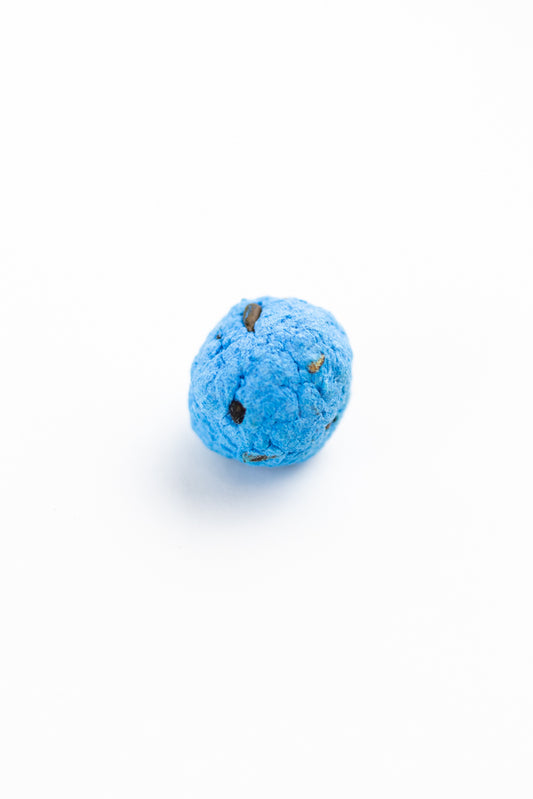 Seed Bombs - Stemcell Science Shop
