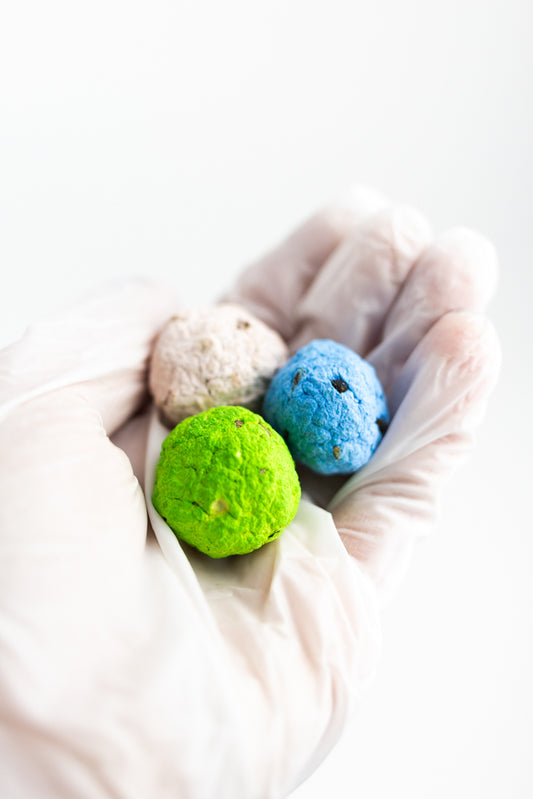 Seed Bombs - Stemcell Science Shop