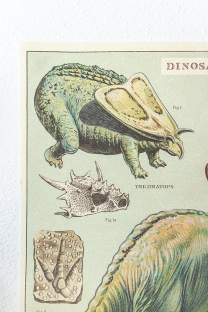 Dinosaurs Scientific Chart