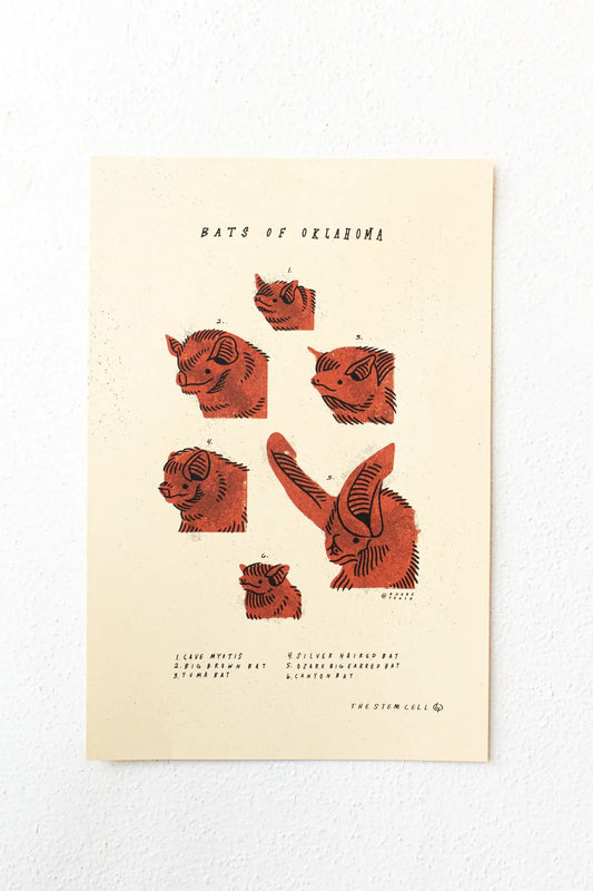 Bats of Oklahoma Print - Stemcell Science Shop