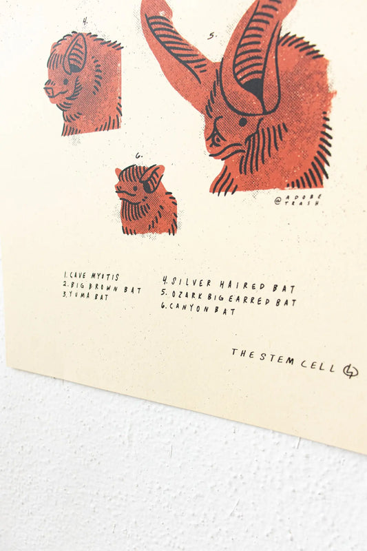 Bats of Oklahoma Print - Stemcell Science Shop