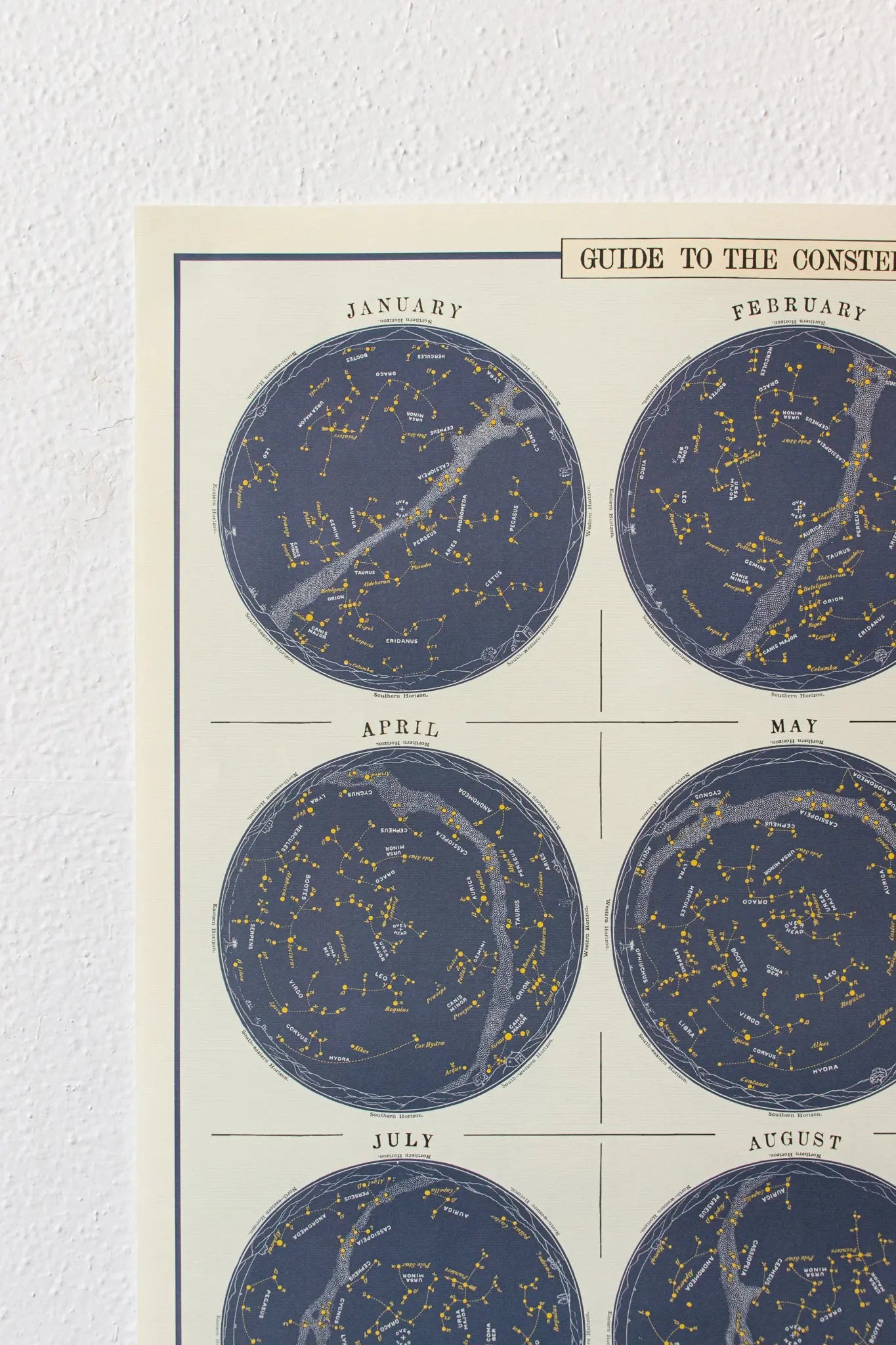 Constellations Chart - Stemcell Science Shop