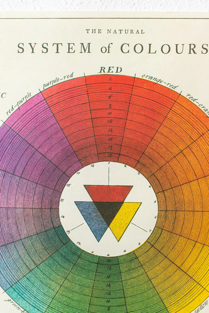The System of Colors Scientific Chart