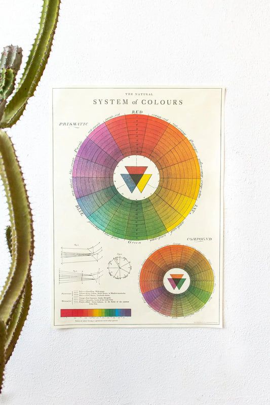 The System of Colors Scientific Chart - Stemcell Science Shop