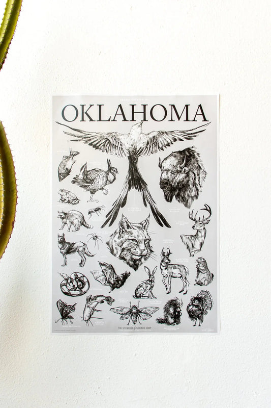Oklahoma Wildlife Chart