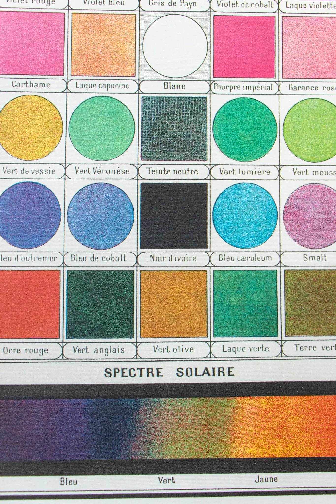 Color Table Chart - Stemcell Science Shop