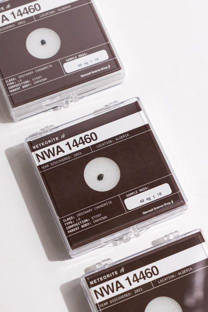 NWA 14460 Meteorite - Stemcell Science Shop