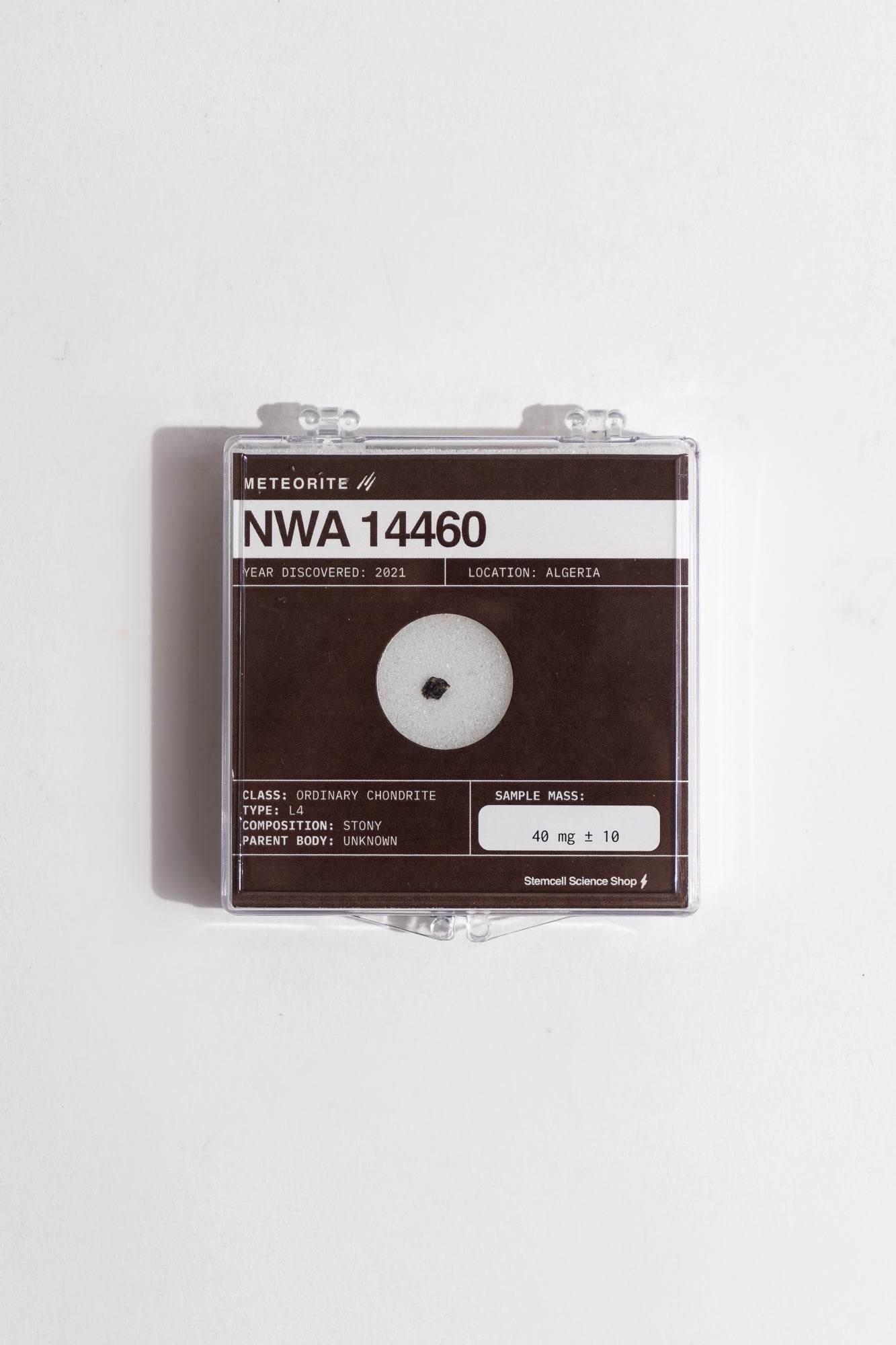 NWA 14460 Meteorite - Stemcell Science Shop