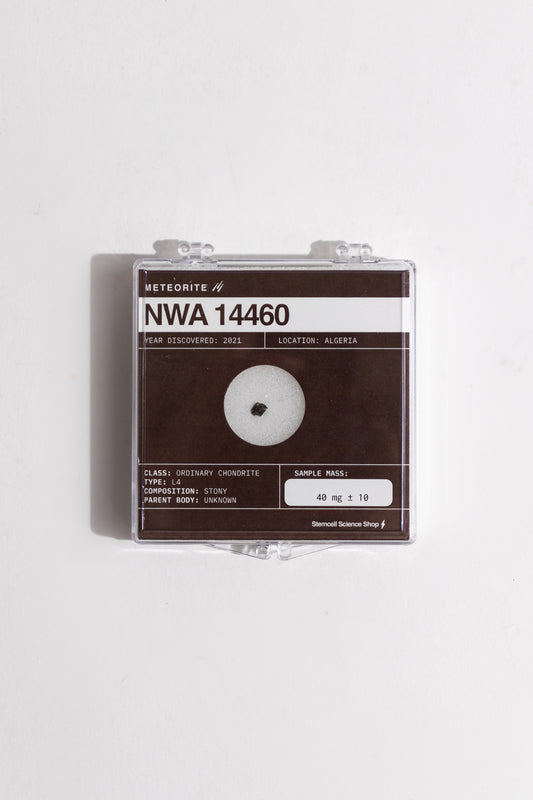 NWA 14460 Meteorite - Stemcell Science Shop