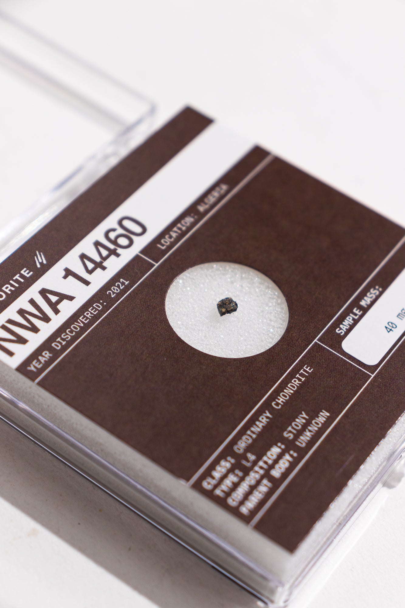 NWA 14460 Meteorite - Stemcell Science Shop