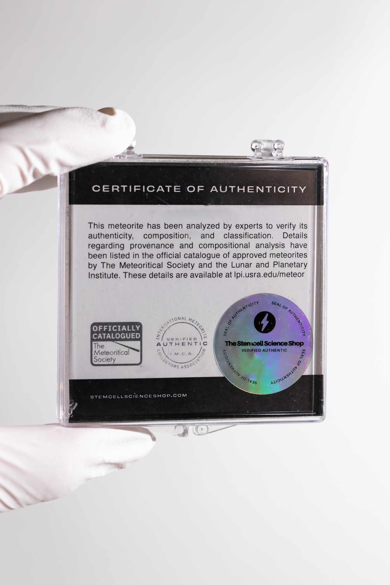 NWA 14460 Meteorite - Stemcell Science Shop