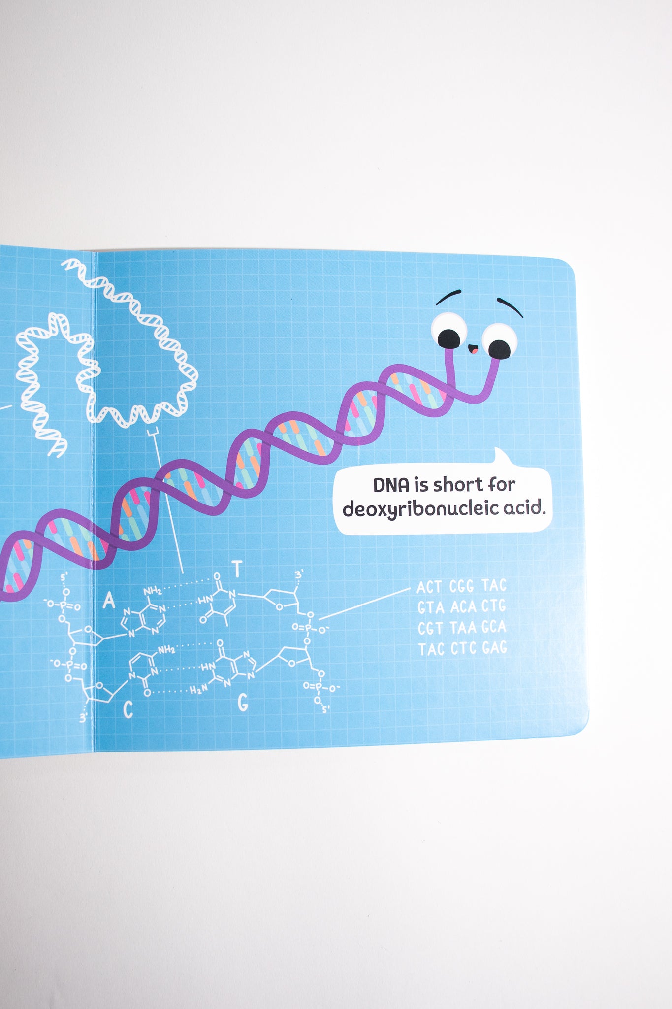 Baby Biochemist: DNA - Stemcell Science Shop