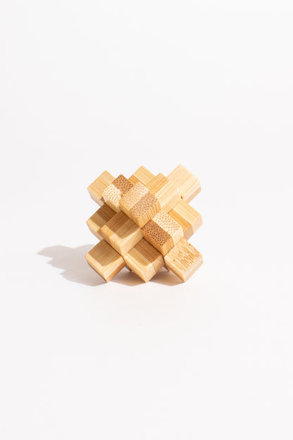 Ecological 6 Pack Puzzle