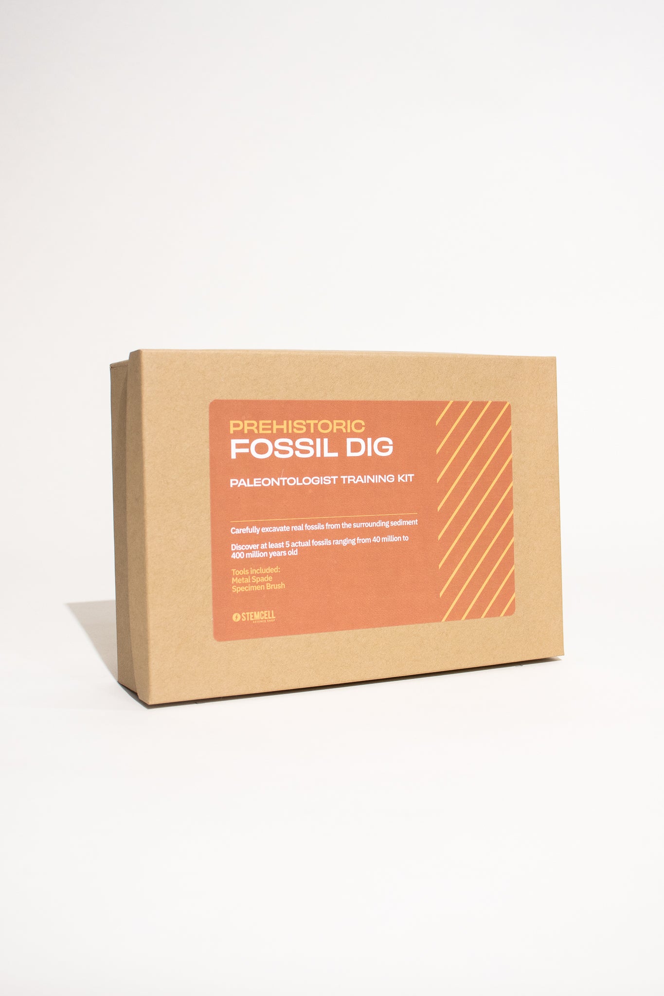 Fossil Dig Box - Stemcell Science Shop