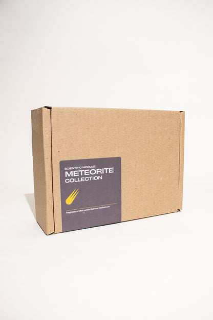 Meteorite Collection - Stemcell Science Shop
