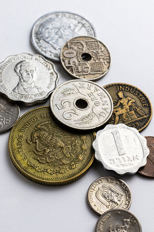 Coins of the World Blind Bag - Stemcell Science Shop