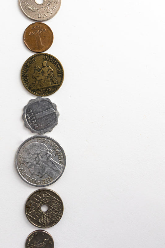 Coins of the World Blind Bag - Stemcell Science Shop