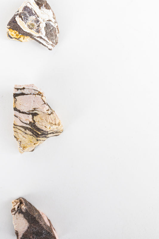 Zebra Jasper - Stemcell Science Shop